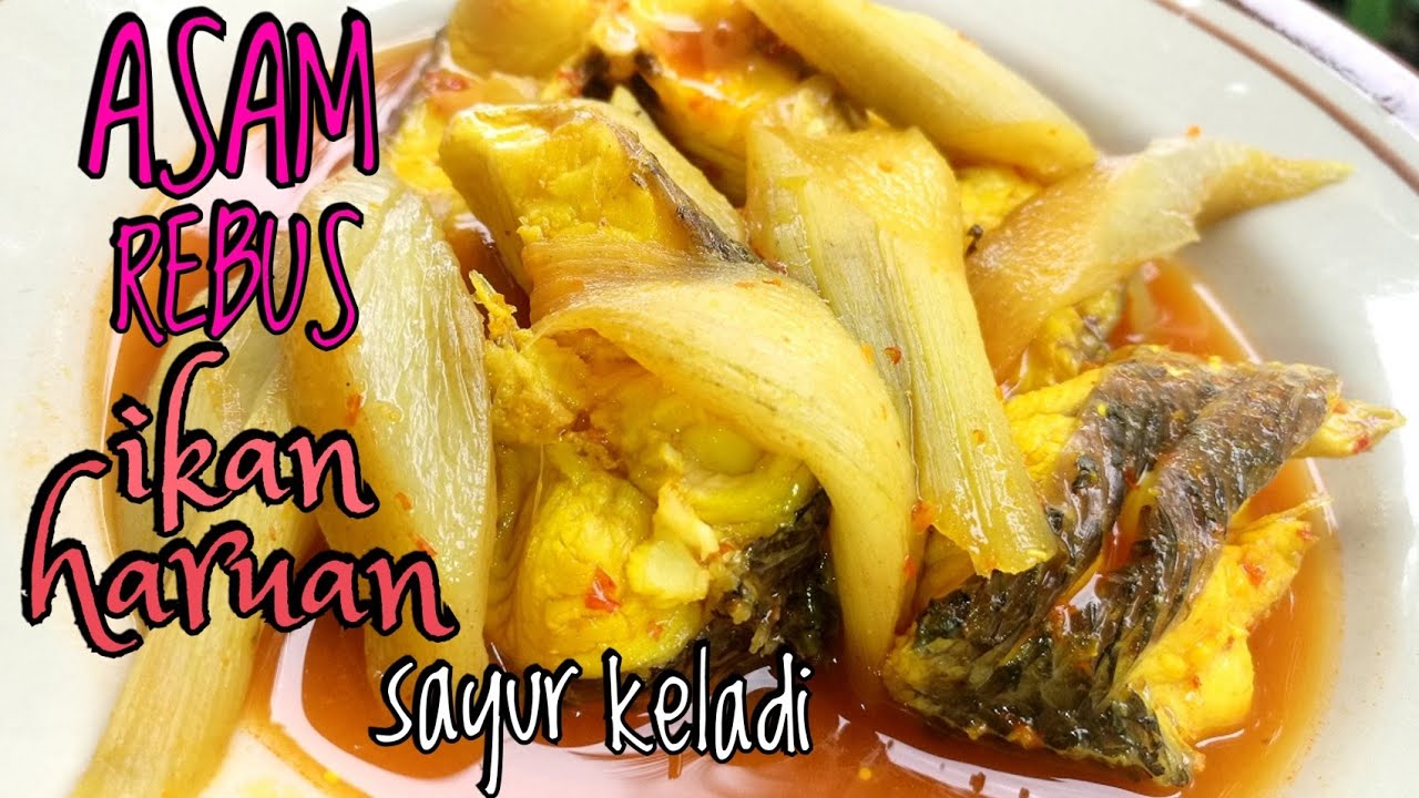 Ikan Haruan Masak Asam Rebus Sayur Keladi Sedap Youtube