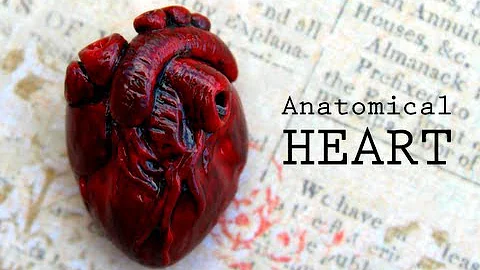 DIY Anatomical Human Heart Polymer Clay Magnet Tutorial
