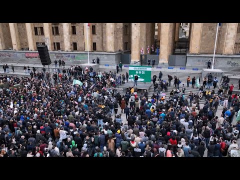 არა მონობას! - გირჩის აქცია ჯარის ფეიკ-რეფორმის წინააღმდეგ