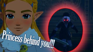 Hyrule Warriors: Age of Calamity - Dark Link (Cutscenes)