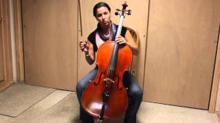 string instrument demonstration