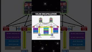 VXLAN Encapsulation #network #education  #tech #technology