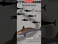 Underwater horror is real समुद्र के नीचे… कुछ ऐसा था जो शिकार को चबाता नहीं, काटकर अंदर खींच लेता था
