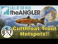 Hotspot Guide: Cutthroat Trout - Plus Hook Size, Bait and Lure!! | Call of the Wild: theAngler