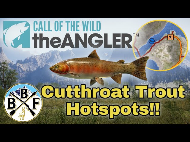 Hotspot Guide: Cutthroat Trout - Plus Hook Size, Bait and Lure!!