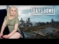 ДЕВУШКА ВЫПИСЫВАЕТ ХЭДШОТЫ В DAYS GONE