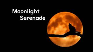 Moonlight Serenade ( Bossa Nova ) - ( C 🎹 )