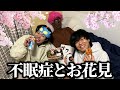 やっと寝れた不眠症の部屋で勝手にお花見してみたwwwww
