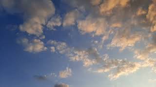 Красивое небо на даче!#лето#хочуврек#природа#дача#nature#лес#вечер#небо#облака#деревья#красота#мир