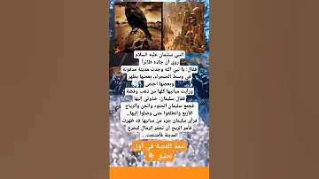 من قصص النبي سليمان عليه السلام تتمة القصة في أول تعليق تعلم من القصص 