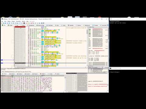 Reverse Engineering x64 Debugger - Socket Example (Server)