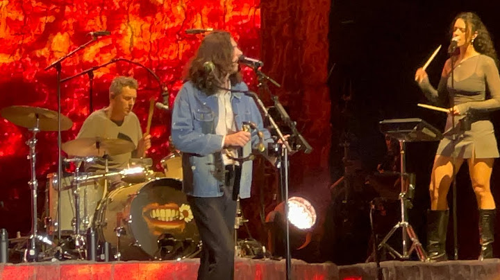 nobody’s soldier [new song] | hozier (lollapalooza 2024)