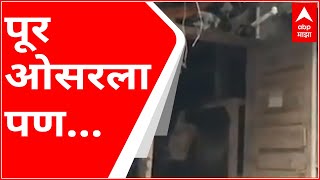 Video Download