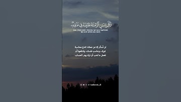 تلاوة مؤثرة للقارئ ياسر الدوسري |وكل انسان ألزمناه طائره في عنقه #تلاوات_خاشعة #تدبر