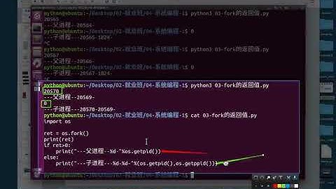 07 getpid、getppid recv