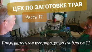 Цех по заготовке трав и ягод Пчеловодство на Урале ч2 Иван чай Напитки