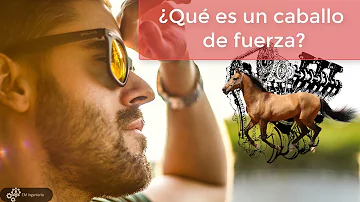 ¿Un caballo tiene realmente 1 caballo de potencia?