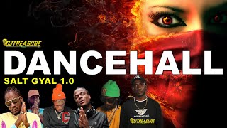 Dancehall Mix 2024 Clean: Dancehall Songs 2024 Clean: Masicka, Alkaline, Chronic Law │ SALT GYAL Mix
