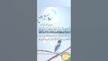 التلاوة التي لم أقوى على تجاوز جمالها أبدا 🥺