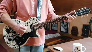 Johnny Winter - She Likes To Boogie Real Low - Guitar Cover By Tomás