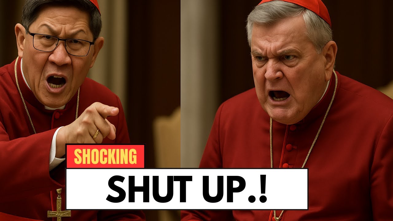 SHOCK: Cardinal Tagle Was ATTACKERD By Cardinal Burke And His Reaction Sent The Vatican Reeling