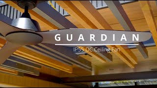 Guardian Indoor/Outdoor Ceiling Fan Black & Dark Timber with Remote IP55 DC video