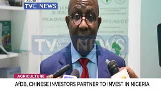 AfDB, Chinese Investors partner to invest in Nigeria screenshot 4