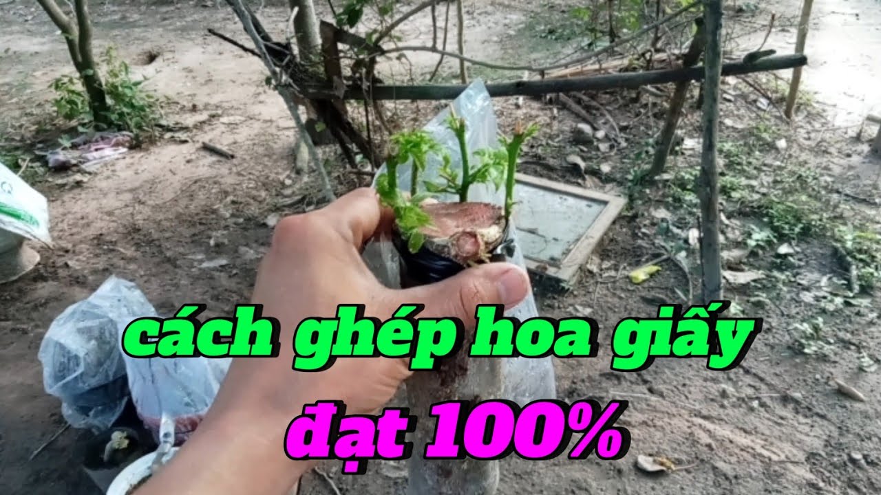 cách ghép hoa giấy đạt 100%