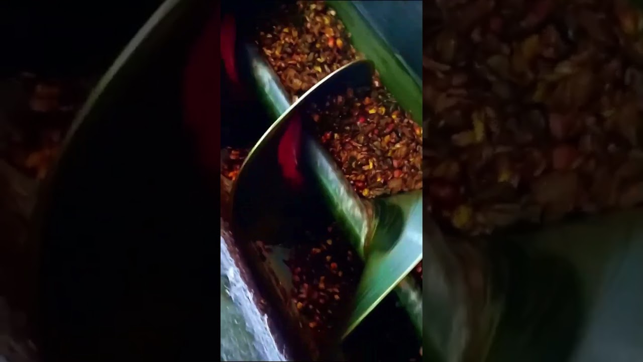  #Sawit#MesinIndustri #KernelExpeller#Teknologi Pabrik #Proses Produksi #FYP #ViralIndustri