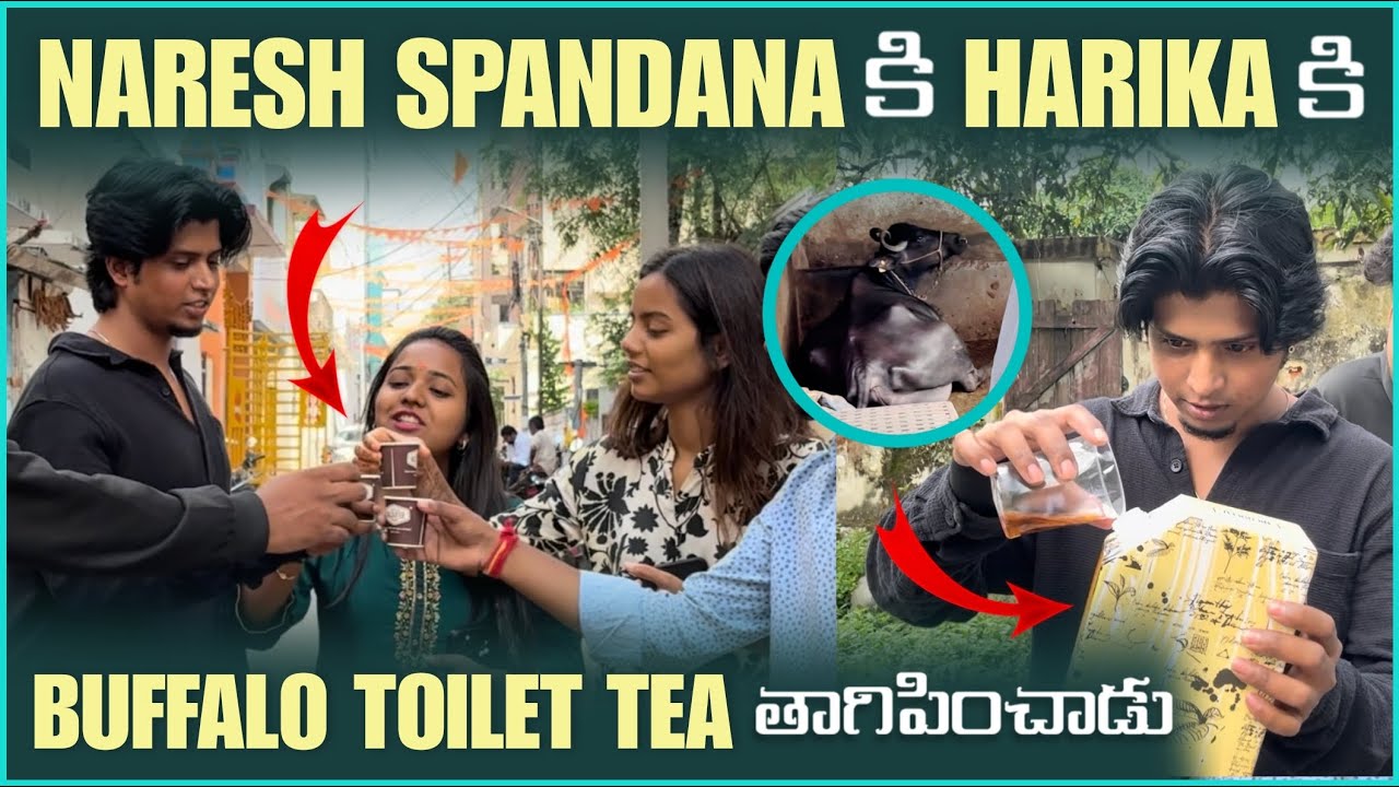 Naresh spandana inka harika ki Buffalo Toilet tea తాగిపించాడు 😂/ Latest Video #harikaspandanafamily 
