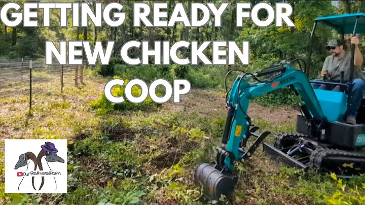 Clearing Land for Our FIRST Chicken Coop! | Raw Land to Homestead | Mini Excavator