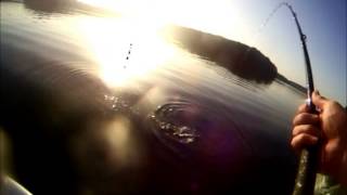 Lake Lanier 06162015