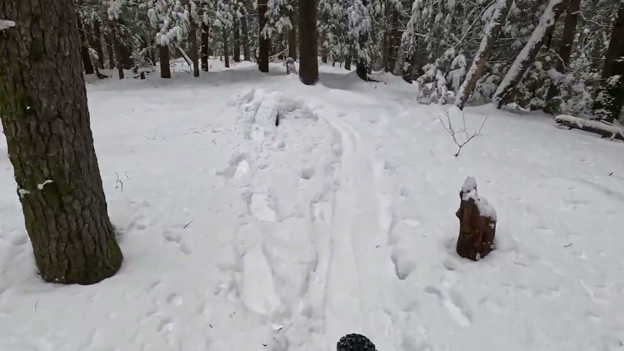 Фэтбайк Нью Гемпшир