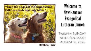 August 16 2026 - Twelfth Sunday after Pentecost