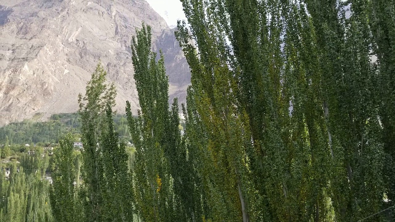 SERENA HUNZA