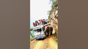 Crowded Bus Gets Pushed by an Elephant | Unreal AI Video