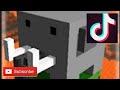 Minecraft Amazing Tiktok Hacks.Minecraft tiktok hacks.2021.            Ready for playing.