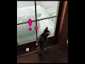びしょ濡れになっても負けない