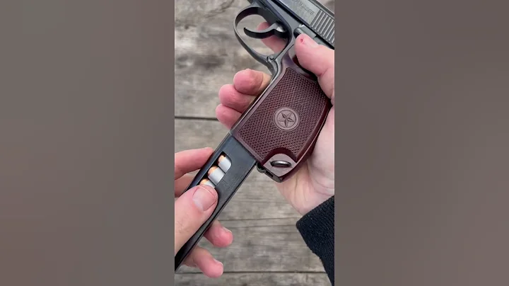 Makarov PM 1976 - 天天要聞