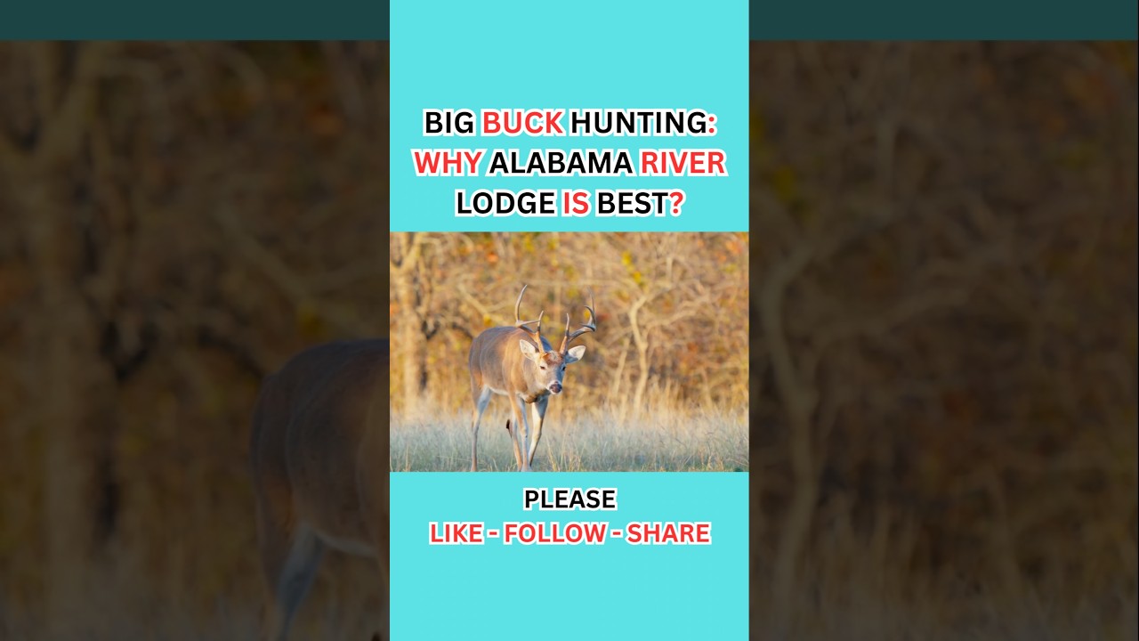 Big Buck Hunting:- Why Alabama River Lodge is a Best Private Land for Deer Hunting?