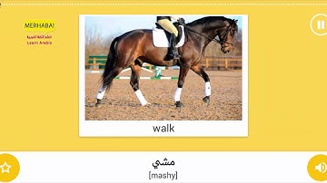 Part 14 - Horse riding - Vocabulary of Sport - important words - Learn Arabic - تعلم اللغة العربية