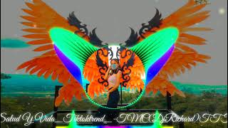 Salud Y Vida-Tmctiktoktrendremixft.djrichard&Djwensonremixteam Tag Os