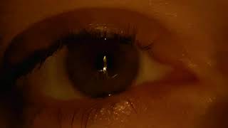 Visual Haiku - Poema Visual Japonés por Nacho Garsan