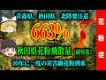 【去年の6倍！】秋田・青森・岩手県に過去10年で最強の「災害級」花粉到来。日本にスギが多い理由【ゆっくり解説】