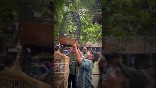 Pasar Burung Depok Solo di hari Minggu
