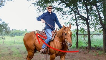 How To Teach A Horse To Neck-Rein in 4 Minutes!