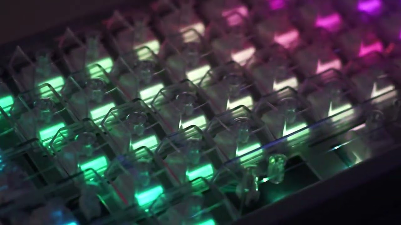 Wuque Studio WS Switch Morandi Linear Keyboard Switches with PMMA