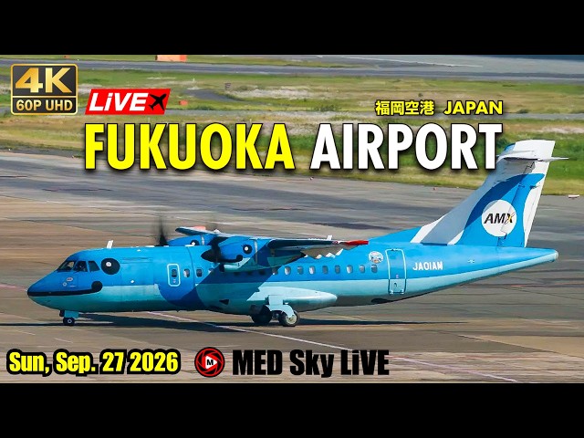 🔴🌙4K60p LiVE Fukuoka (Japan) Airport Plane Spotting✈️9/27 福岡