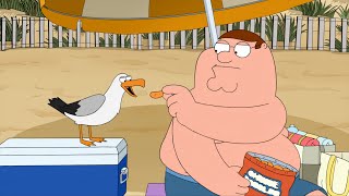Peter feeds the seagull. Family Guy Season 19 Episode 4.