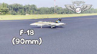 FREEWING F18 (90mm)